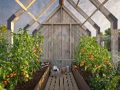 Jardin d’hiver bois EMILIA 9,4 m² (5,4 + 4,0 m²) – Palmako